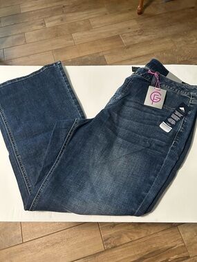 Lane Bryant Blue Straight Leg Stretch Jeans